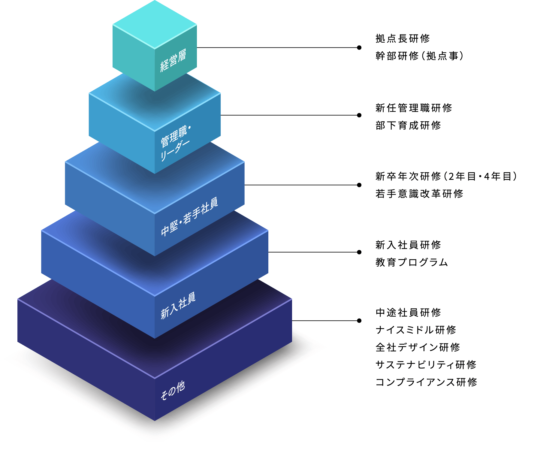 教育プログラム